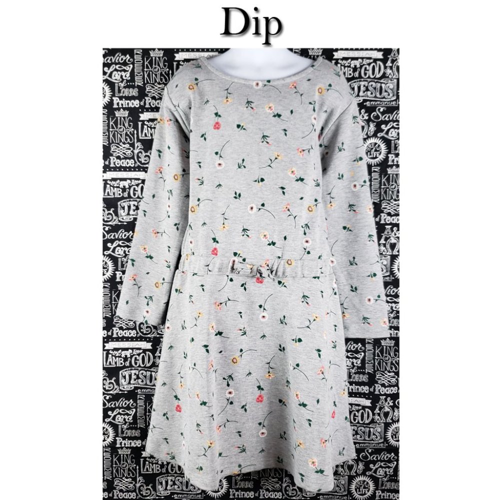Dip Floral Dress Size Small 6-7 NWT